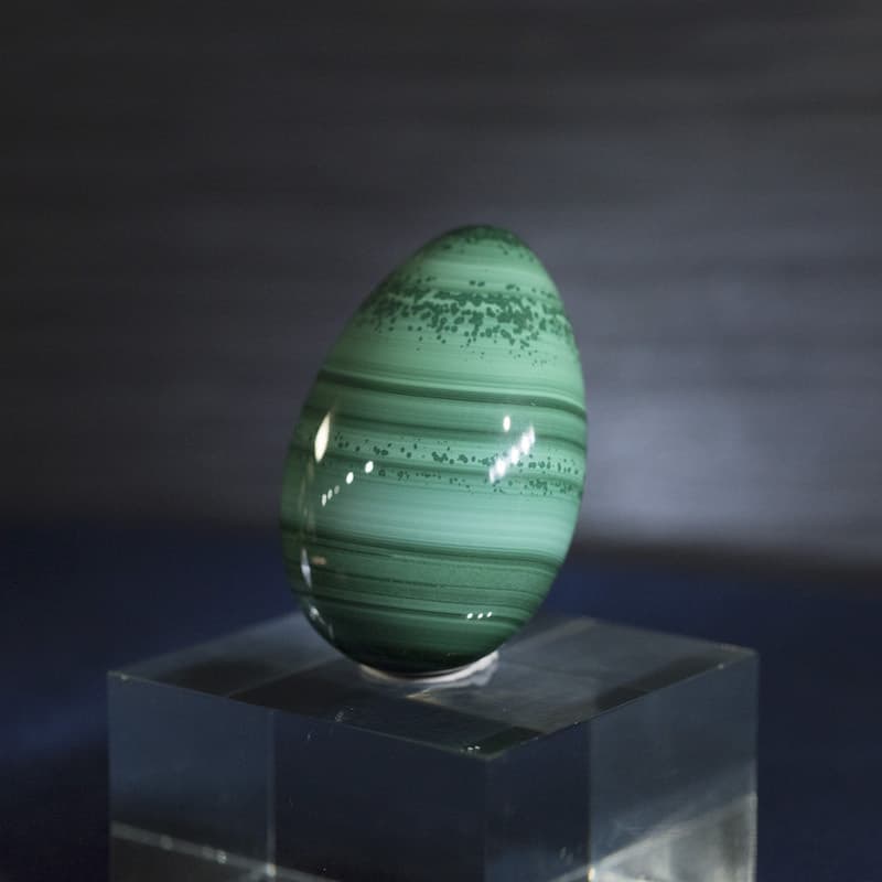f-0595.jpg