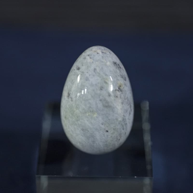 f-0467.jpg
