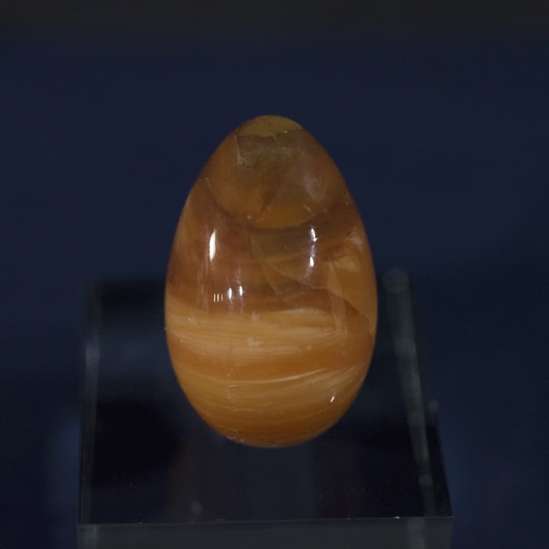 f-0491.jpg