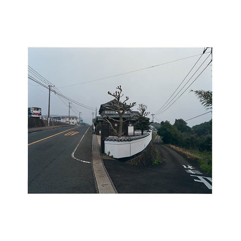 kikuchi1.jpg