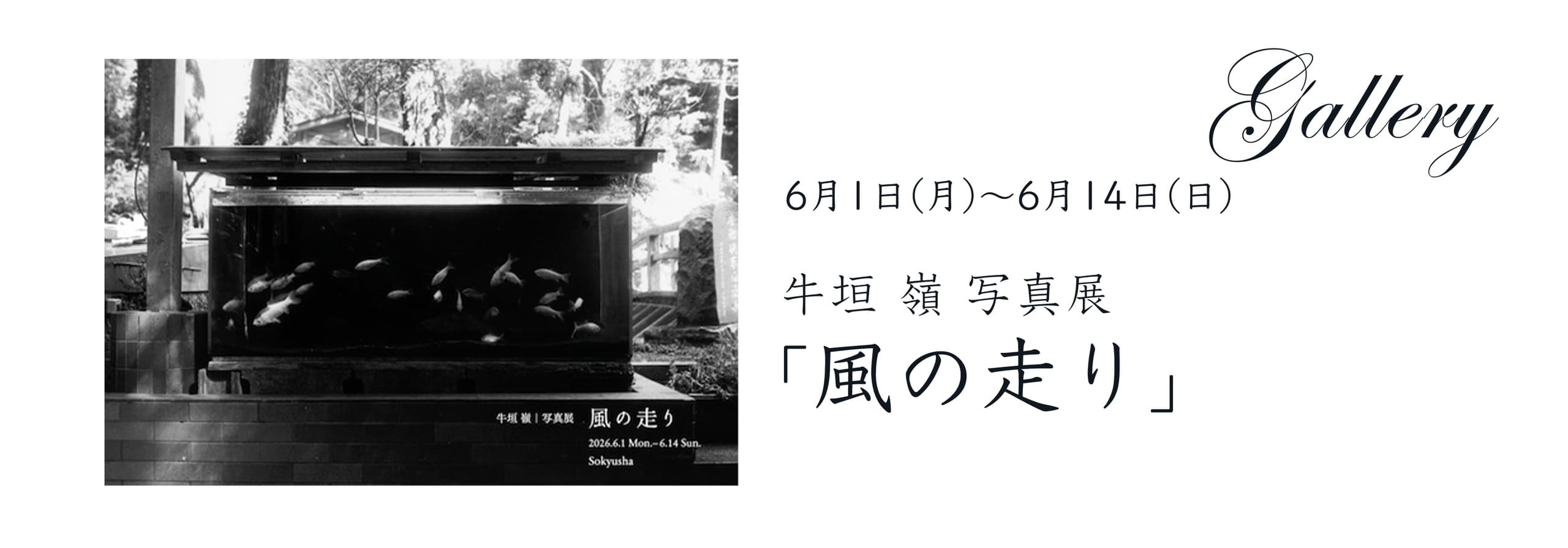 ushigaki-g.jpg